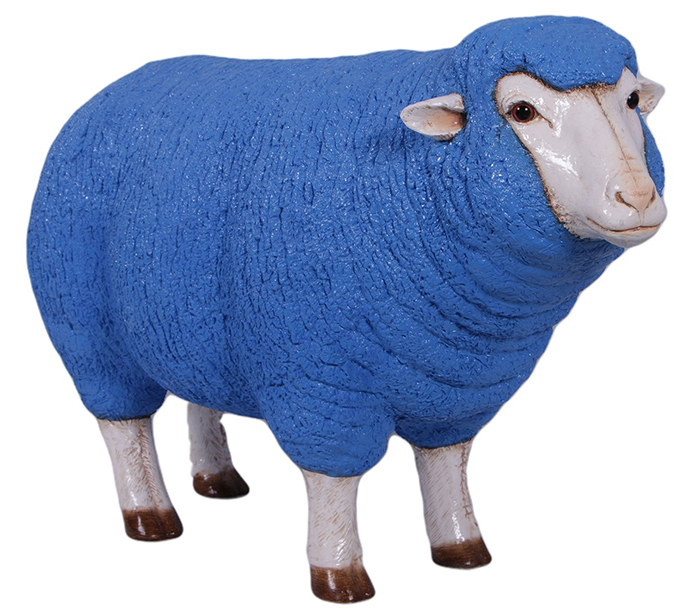 Merino Ewe Head Up Blue